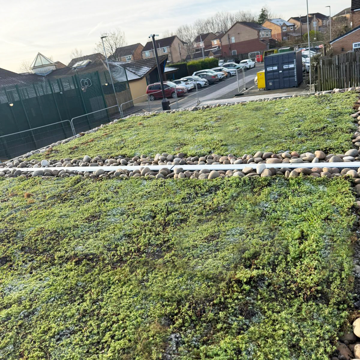 Green Sedum Roof Cycle Shelter